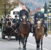 Leonhardifahrt Peißenberg