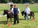 Unsere Ponys