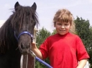 Unsere Ponys