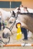 Unsere Ponys