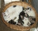 Unsere Tiere