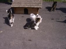 unsere Tiere